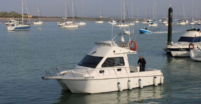 Cadiz: Private 2-Hour Catamaran Rental With Personal Captain - Wildlife Spotting Opportunities