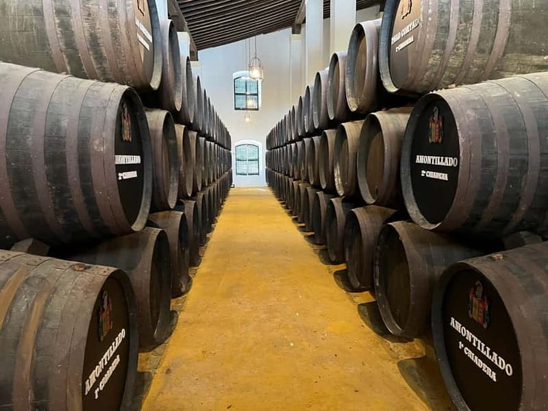 Cadiz: Private Tour with Wine Tasting - Key Points  
