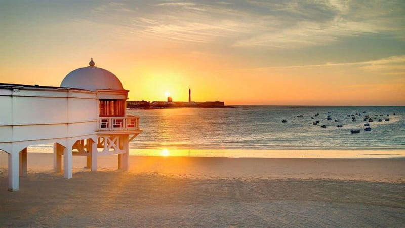 Cadiz: Private Tour with Wine Tasting - A Detailed Look at the Experience  