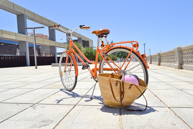Cadiz Small Group Bike Tour - Wheelchair and Stroller Accessibility