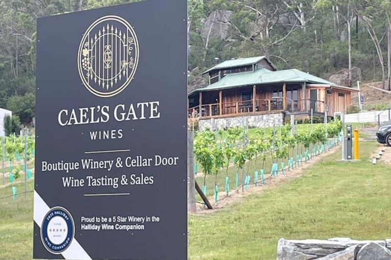 Cael's Gate Wine Tasting with Cheese and Charcuterie Board - Key Points