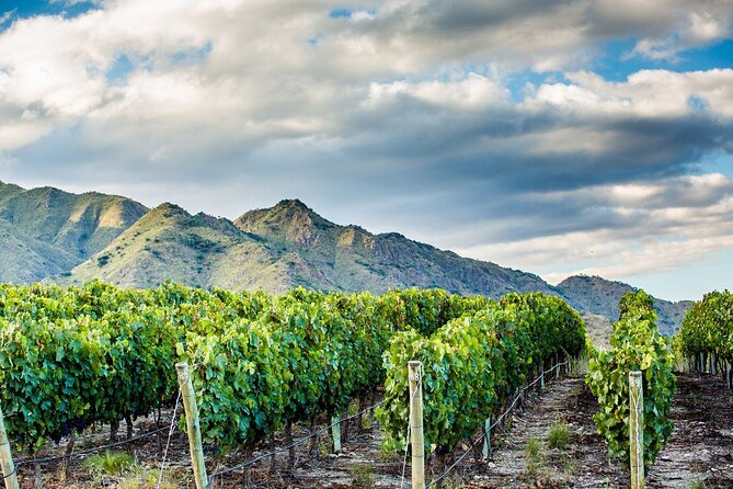 Cafayate Wine Trail Excursion: Explore Saltas Vineyards - Assessing the Tours Pros and Cons