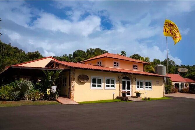 Cafe y Ron: Bad Bunny Inspired Local Full Day Tour from San Juan - Exploring the Itinerary: What You Can Expect