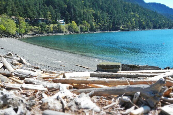 Cafes and Kayaks: Full Day Kayaking Adventure on Orcas Island - Why This Tour Stands Out