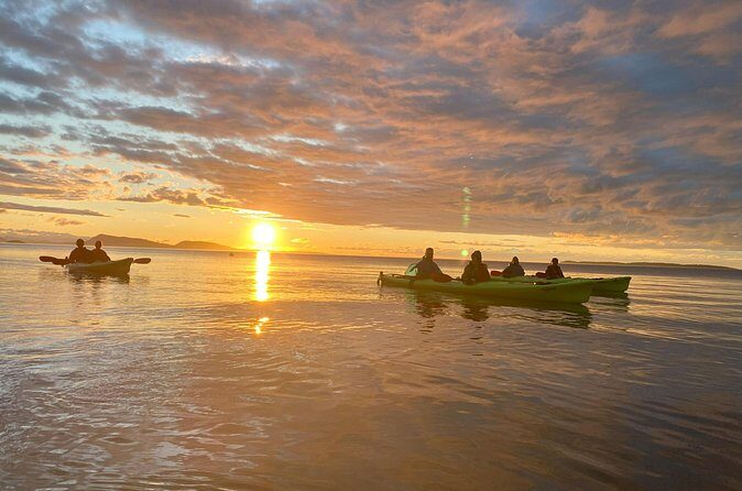 Cafes and Kayaks: Full Day Kayaking Adventure on Orcas Island - The Sum Up: The Value and Who Will Love It