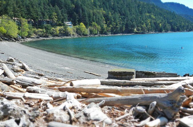 Cafes and Kayaks: Full Day Kayaking Adventure on Orcas Island - FAQ Section