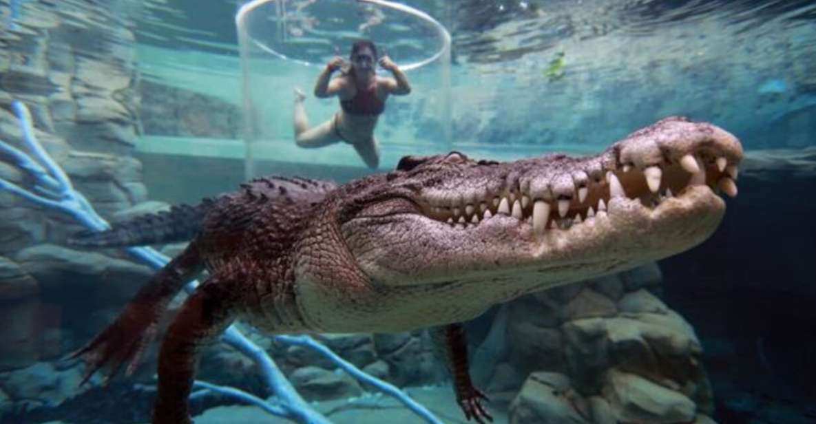 Cage Of Death Crocodile Swim and Entry to Crocosaurus Cove - Key Points