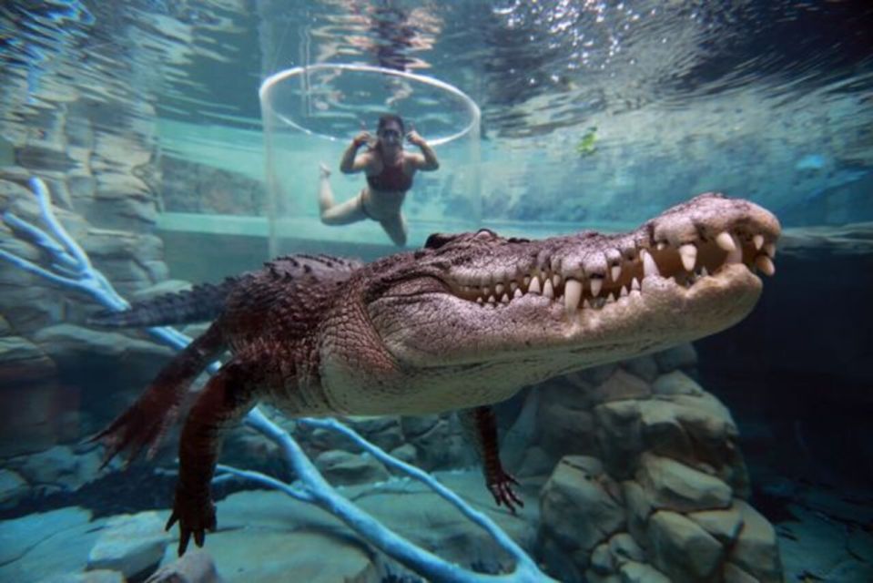 Cage Of Death Crocodile Swim and Entry to Crocosaurus Cove - Ticket Details