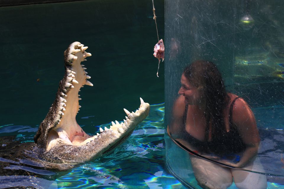 Cage Of Death Crocodile Swim and Entry to Crocosaurus Cove - Frequently Asked Questions