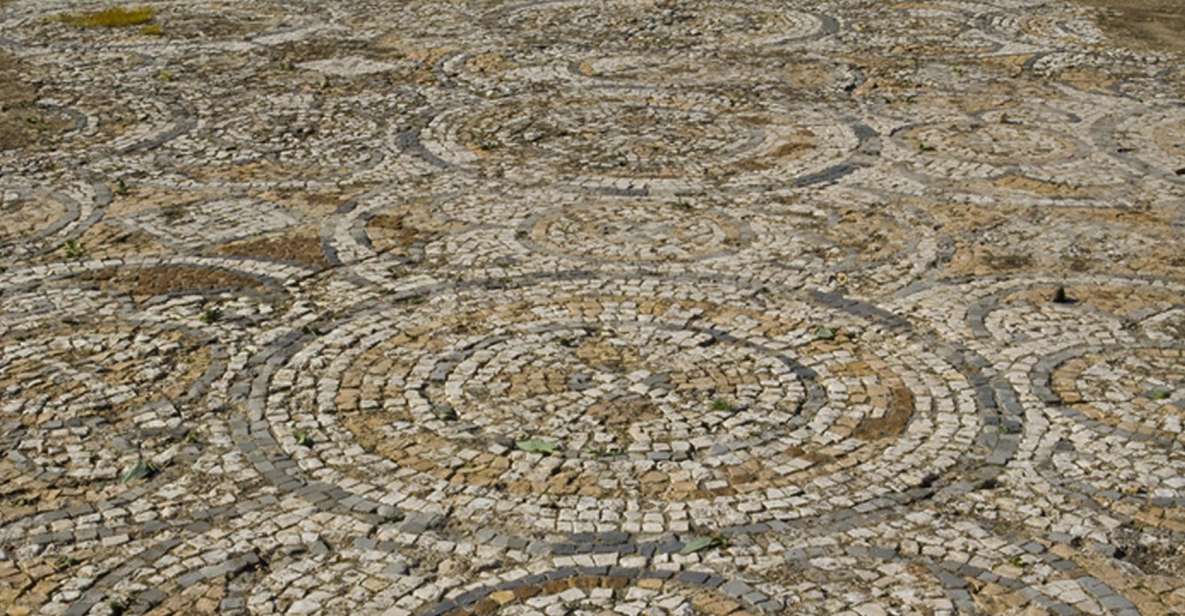 Cagliari: 5-Hour Archaeological Shore Excursion - Key Points