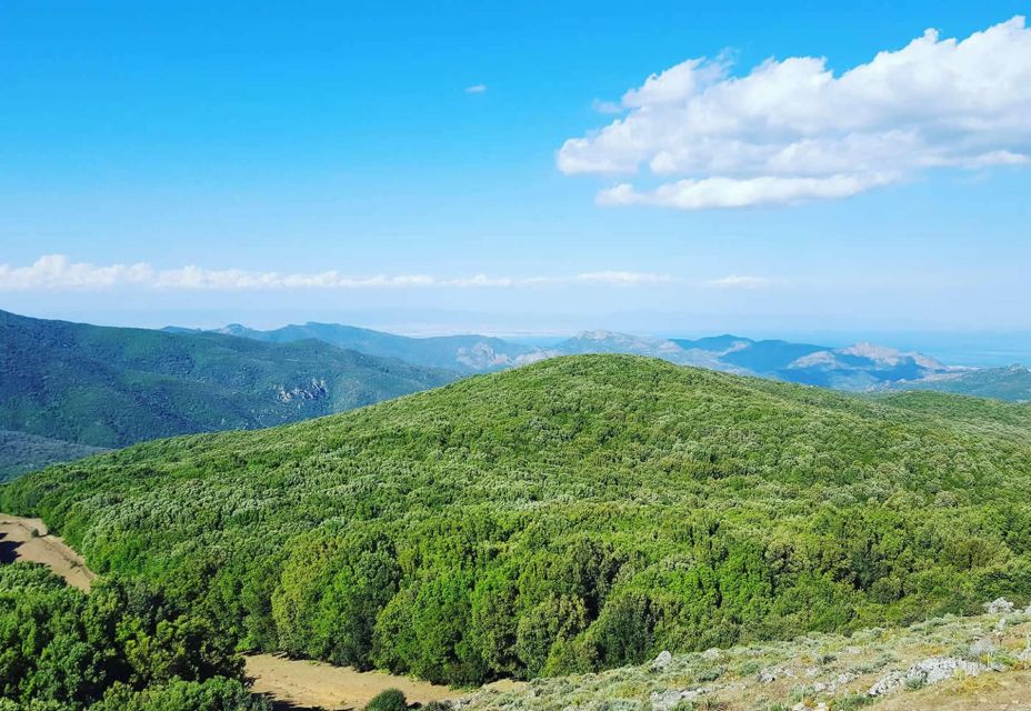 Cagliari: Between the Mountains & Sea Tour by Jeep & Dinghy - Frequently Asked Questions