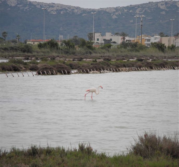 Cagliari: Bike Tour in the Flamingo Oasis - Included Amenities