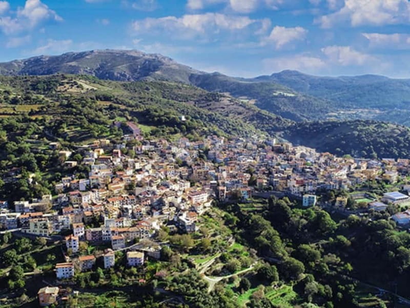 Cagliari: Blue Zone Experience Day Trip - Authenticity and Value