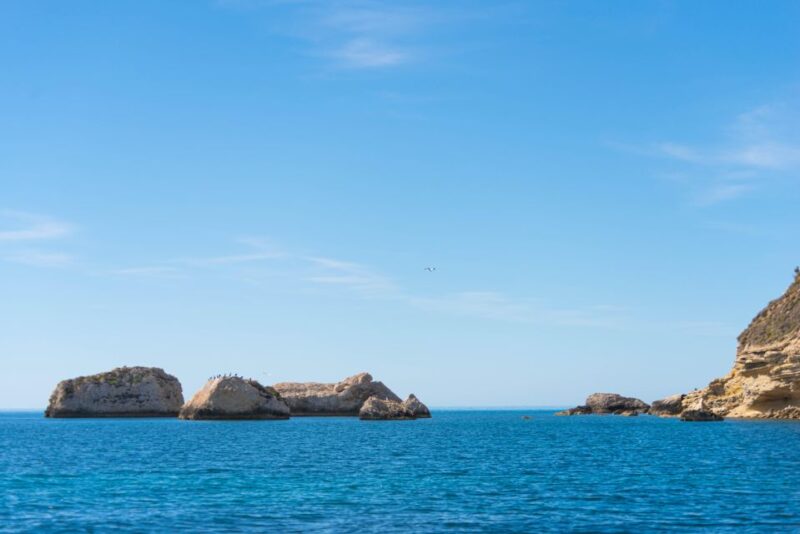 Cagliari: Boat Tour of the Heavenly Beaches, Food & Drinks - Key Points