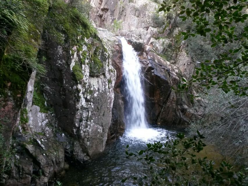 Cagliari: Canyoning in Sardinia - The Sum Up: Who Should Consider This Tour?