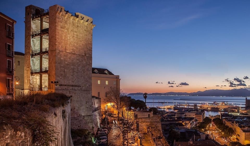 Cagliari City Tour and Flamingos Park by Minivan and Walking - Tour Overview and Pricing