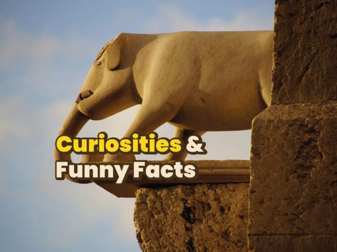 Cagliari: Digital Guide Made With a Local for a Walking Tour - Frequently Asked Questions