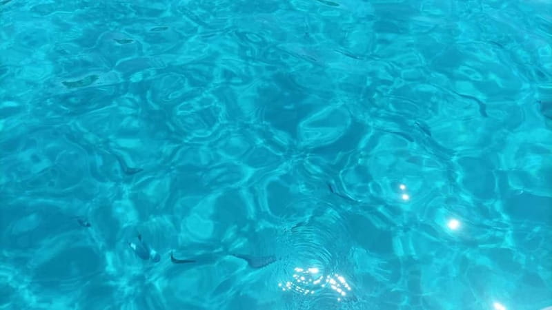 Cagliari: dinghy tour to Poetto Beach - Frequently Asked Questions