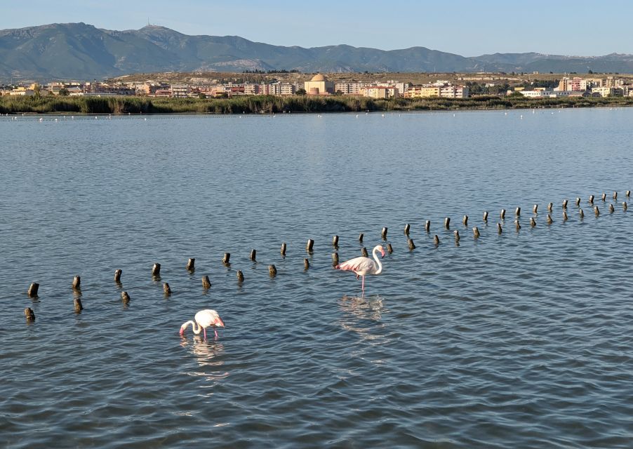 Cagliari: Electric Bike Nature Tour - Customer Feedback and Ratings