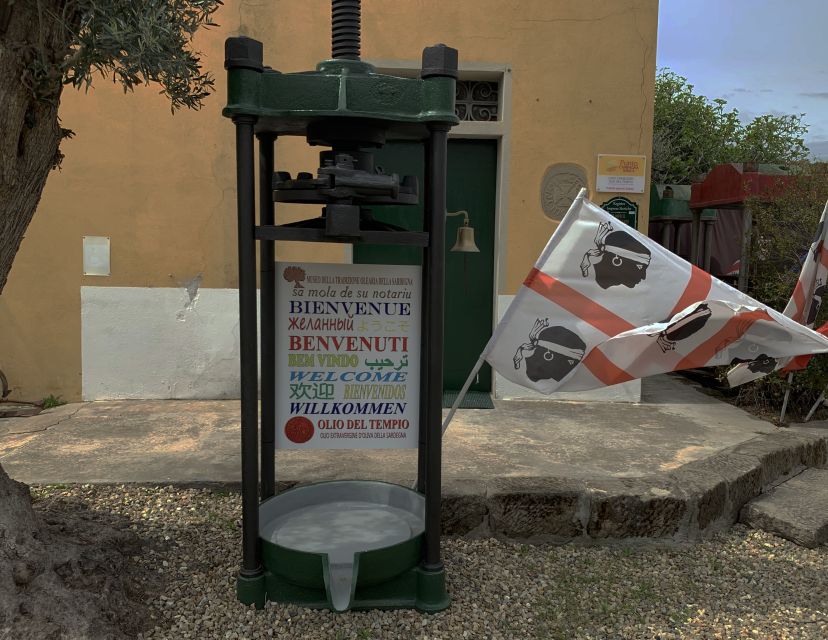 Cagliari: Exclusive Extra Virgin Olive Oil Tour at Museum - Local Foods and Wines Pairing