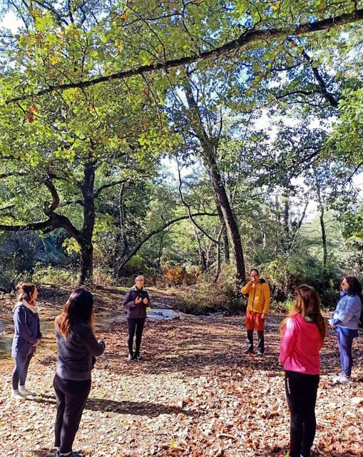 Cagliari: Forest Bathing at Sette Fratelli Park - Overview and Pricing