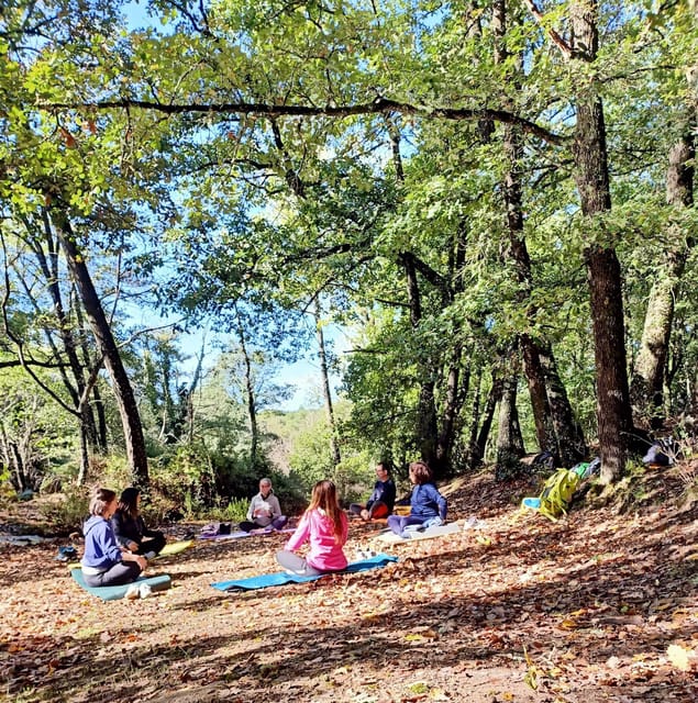Cagliari: Forest Bathing at Sette Fratelli Park - Meeting Point and Logistics