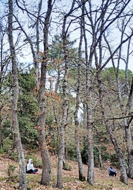 Cagliari: Forest Bathing at Sette Fratelli Park - Preparation and Recommendations