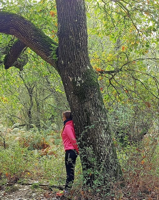 Cagliari: Forest Bathing at Sette Fratelli Park - Health Benefits of Forest Bathing