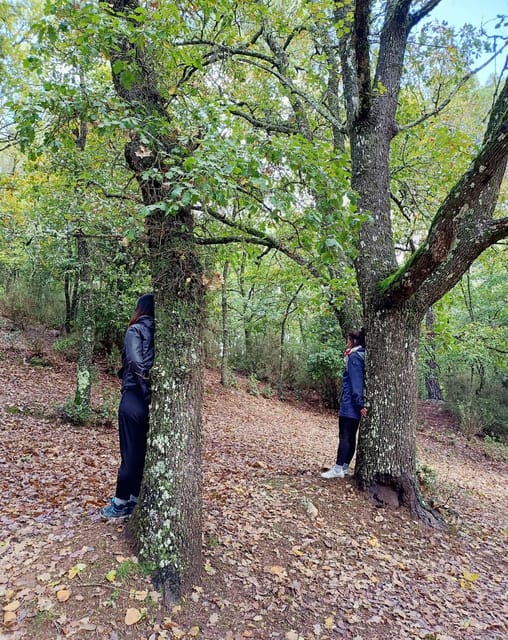 Cagliari: Forest Bathing at Sette Fratelli Park - Mindfulness and Sensory Awareness