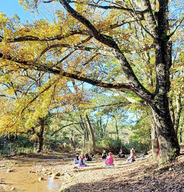 Cagliari: Forest Bathing at Sette Fratelli Park - Connecting With the Natural Environment