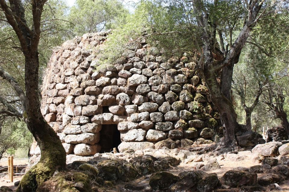 Cagliari: Full-Day Tour to Well Temple & Cabras Museum - Inclusions