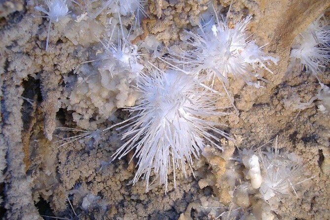 Cagliari: Is Zuddas Caves Private Experience from Chia - The Sum Up