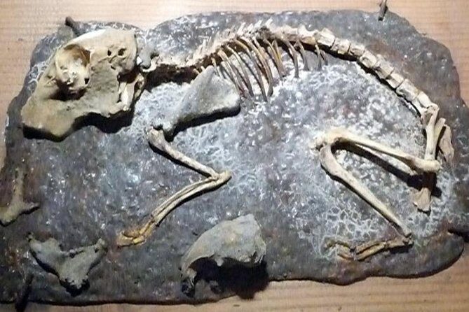 Cagliari: Is Zuddas Caves Private Experience from Chia - FAQ