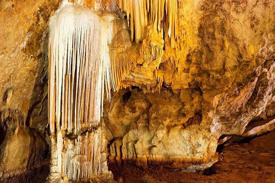 Cagliari: Is Zuddas Caves Shore Excursion - Key Points