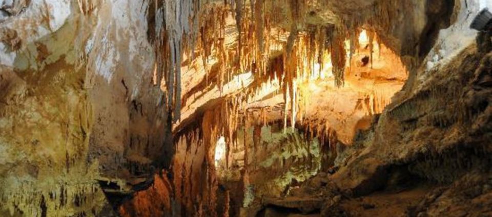 Cagliari: Is Zuddas Caves Shore Excursion - Highlights of the Excursion