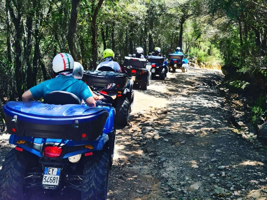 Cagliari: Nuraghe Adventure 3 hour Quad Tour from Domus - Why This Tour Is Worth Considering for Your Sardinian Trip