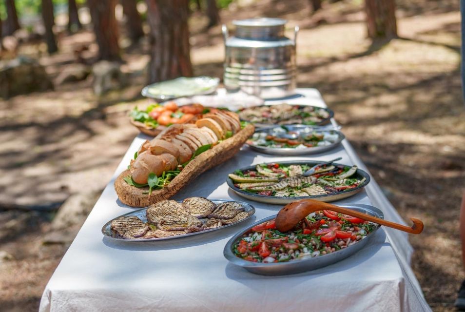 Cagliari: Picnic With Sardinian Donkeys - Key Points