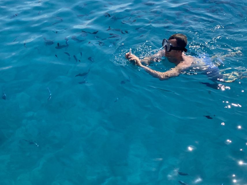 Cagliari: Private Guided Half-Day Boat Tour - Frequently Asked Questions