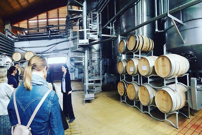 Cagliari Private Shore Excursion: Wine and Cheese Tasting - An In-Depth Look at the Sardinian Wine and Cheese Tour