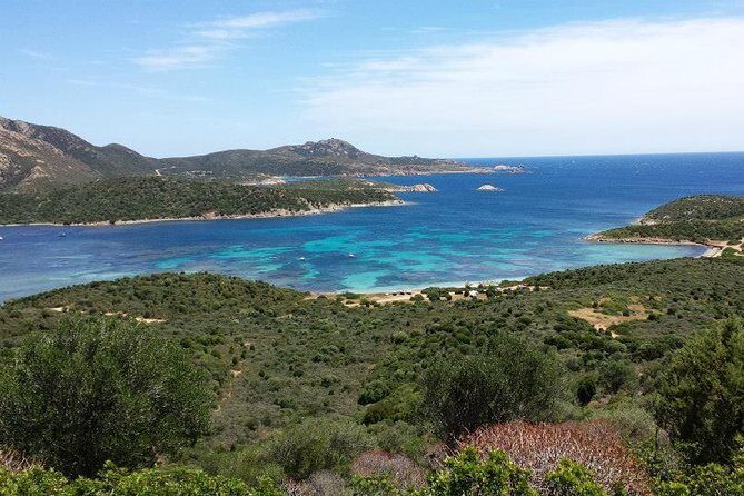 Cagliari: Professional Guided Coasteering Tour from Pinus Village - Who Will Love This Tour?