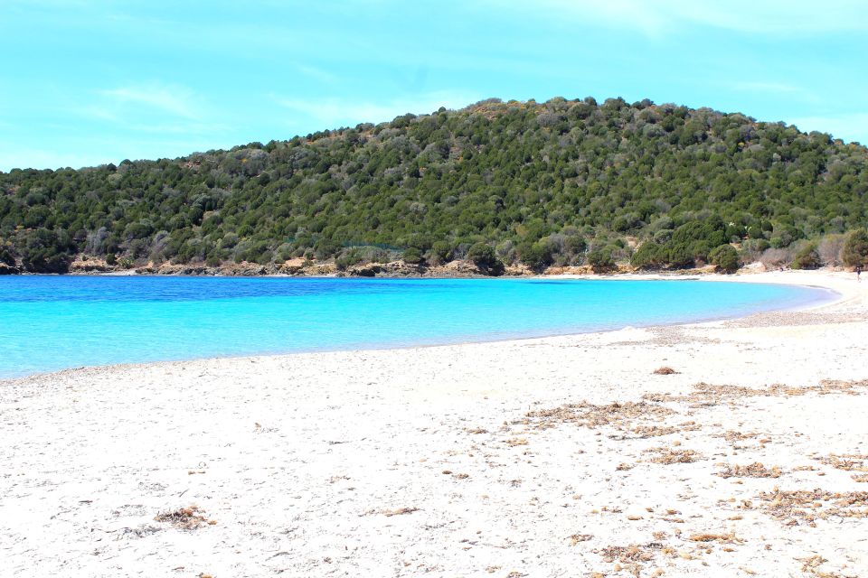 Cagliari Shore Excursion: Amazing Hidden Beaches Jeep Tour - Booking Information