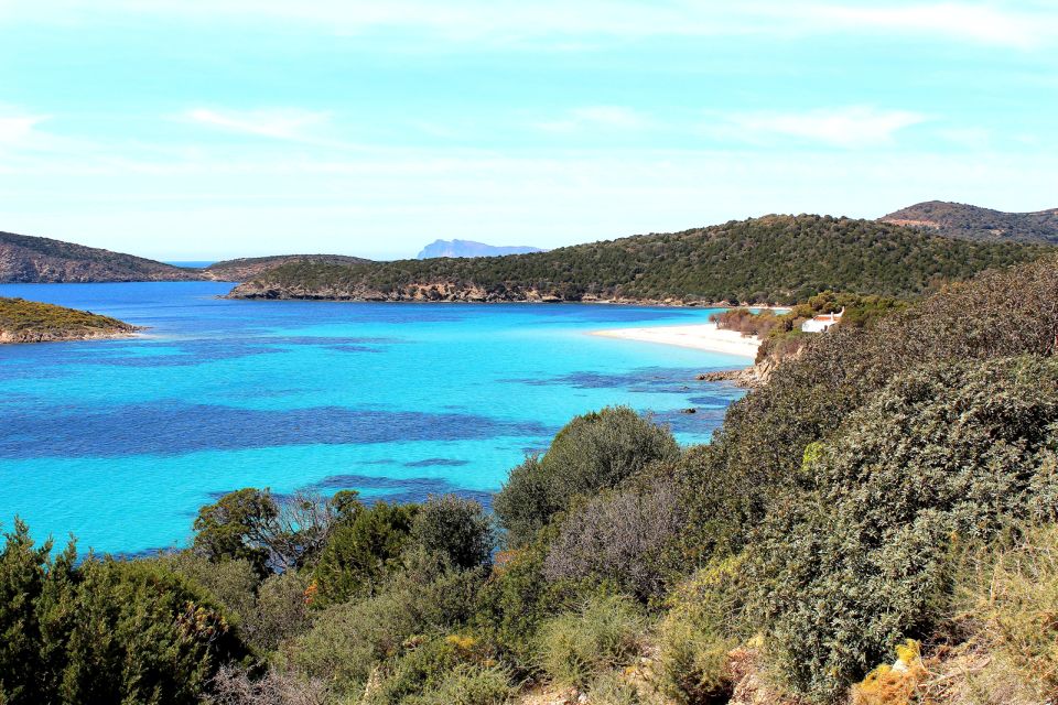 Cagliari Shore Excursion: Amazing Hidden Beaches Jeep Tour - Price and Duration