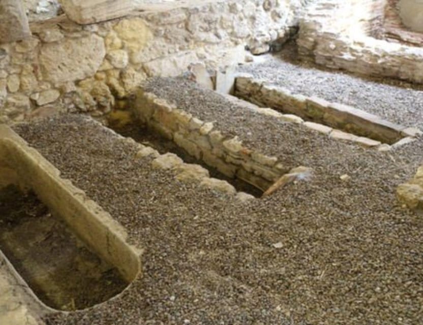 Cagliari Shore Excursion : Roman Civilization Guided Tour - The Experience from Different Perspectives