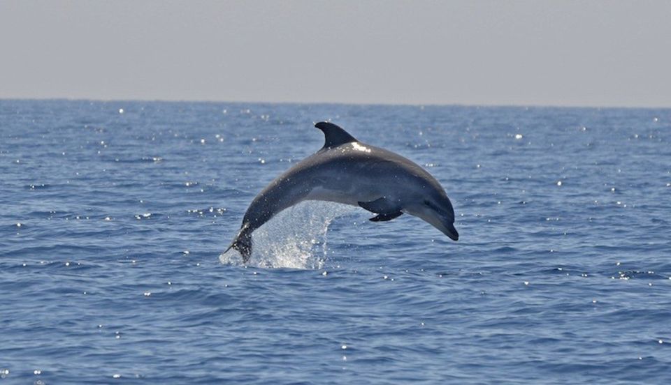 Cagliari: Southwest Chia and Teulada Group Boat Tour - Inclusions