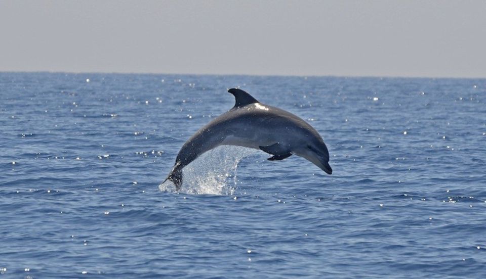 Cagliari: Southwest Chia and Teulada Private Boat Tour - Included in the Tour