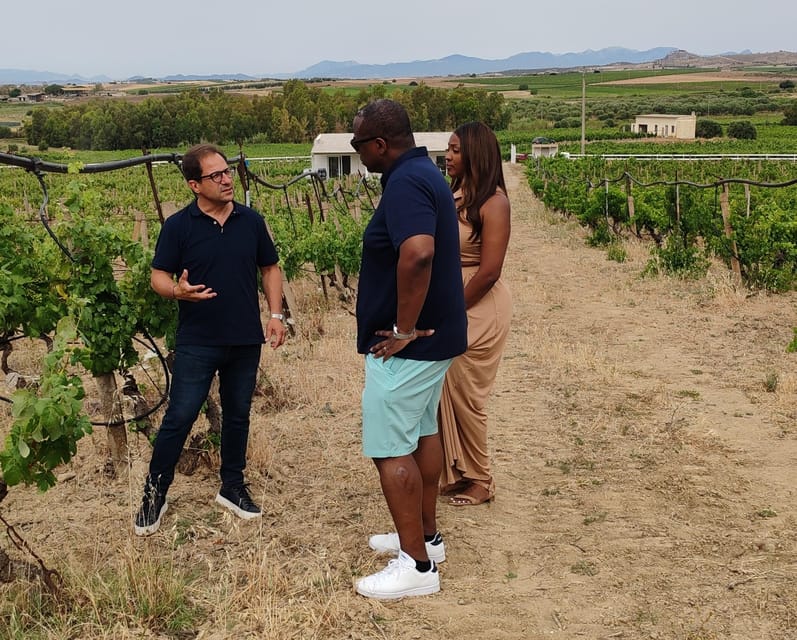 Cagliari: Wine and Olive oil Experience + Oil Mill Museum - Key Points