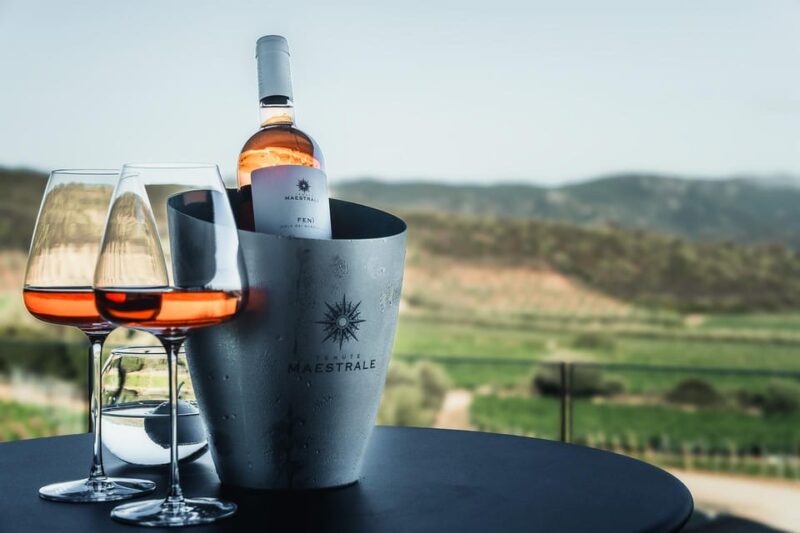Cagliari Wine Tasting at Tenute Maestrale - Activity Overview