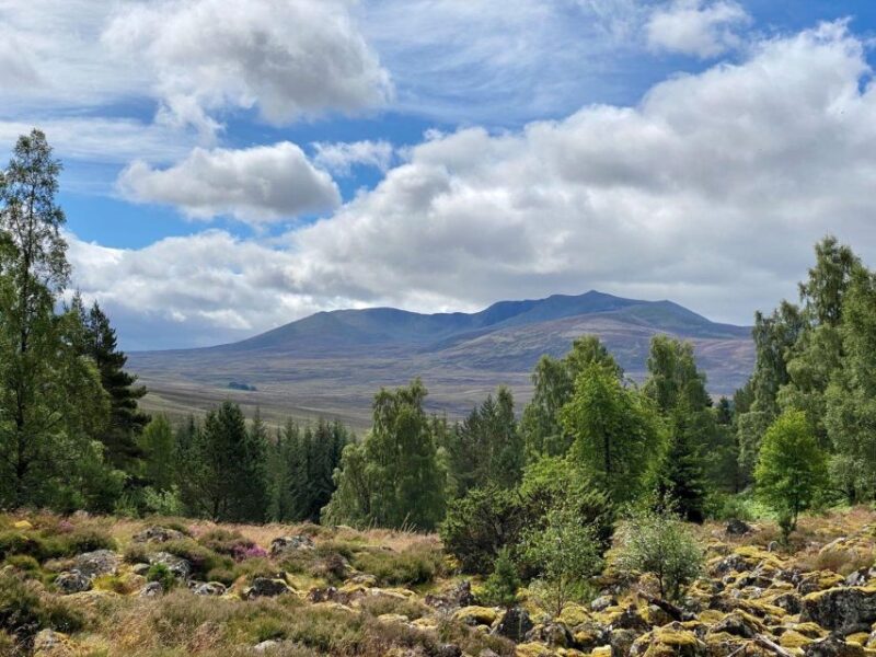 Cairngorms: Lochnagar Guided Walk - Key Points
