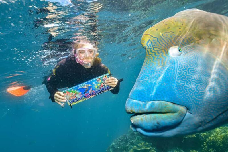 Cairns: 2-Day Barrier Reef Pontoon & Fitzroy Island Tour - Cairns: 2-Day Barrier Reef Pontoon & Fitzroy Island Tour — An In-Depth Look