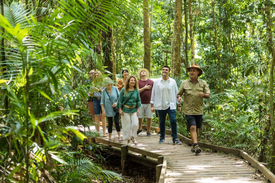 Cairns: 2-Day Great Barrier Reef & Daintree Rainforest Tour - Lunch Options and Transfers